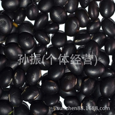 大粒黑豆长期批发 农家现货价格与厂家直供图片