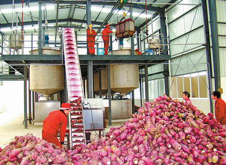 玉溪市人民政府农作物产业发展综述